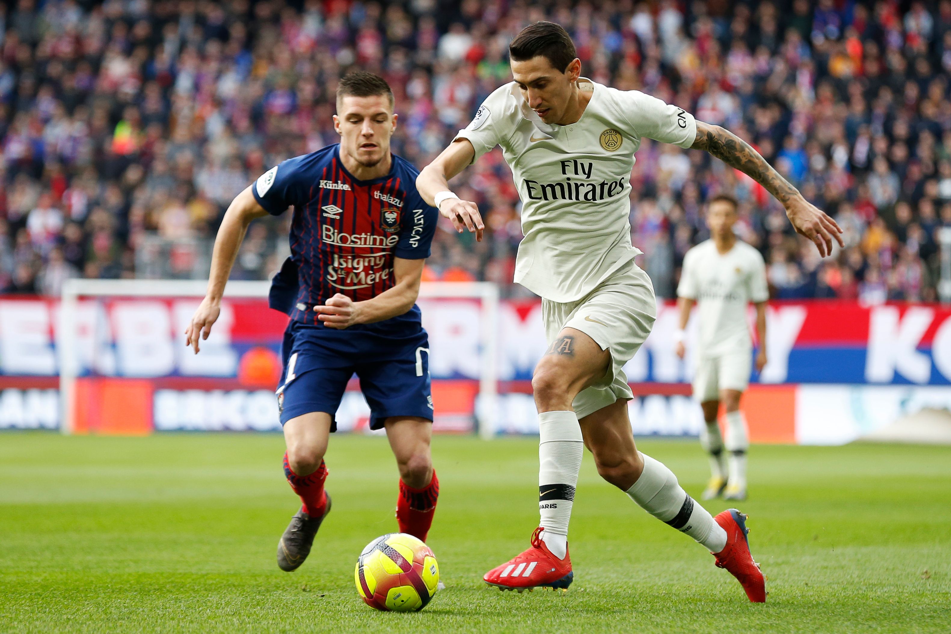 从而撕开肋 从而撕开肋