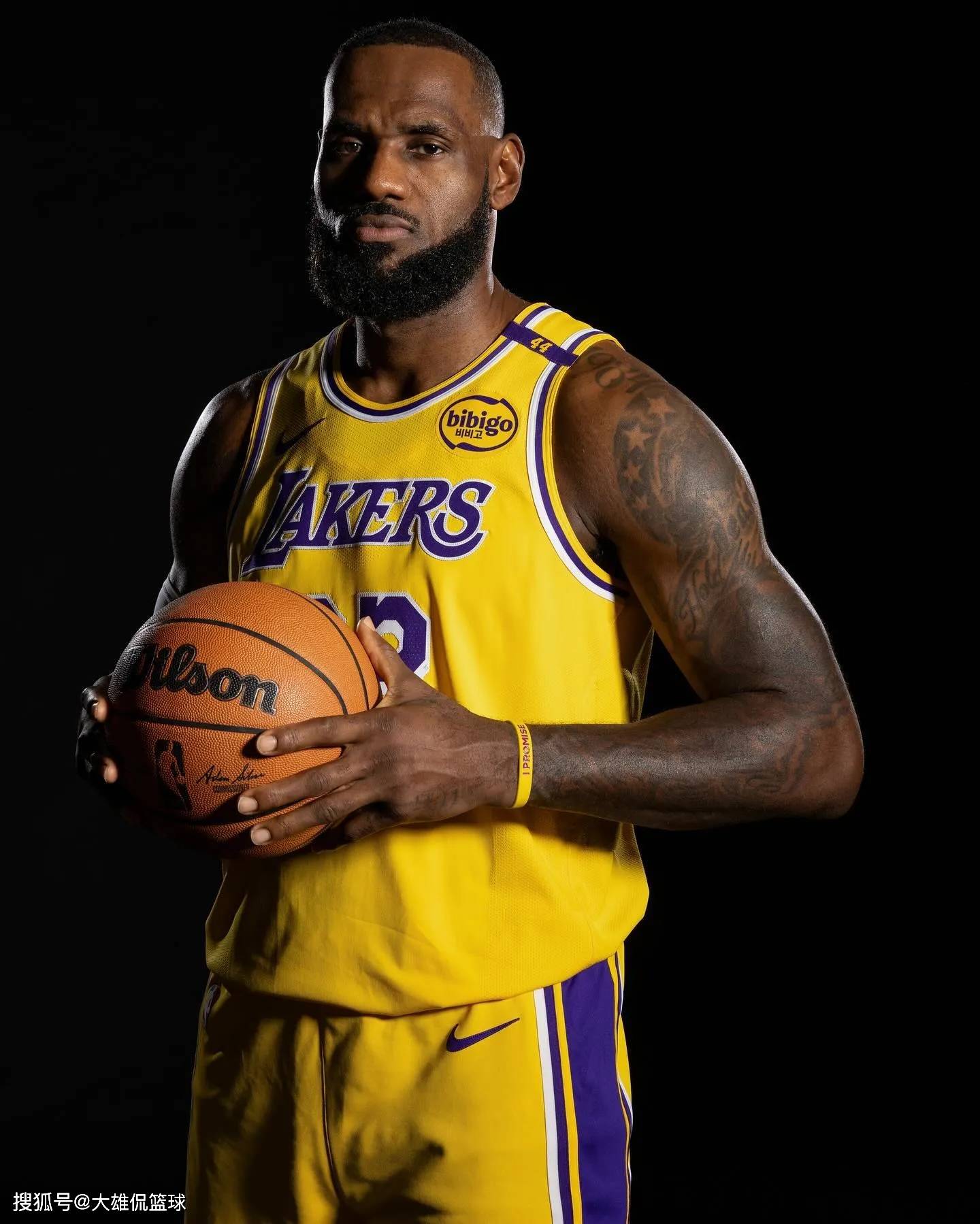 这一模板对 这一模板对